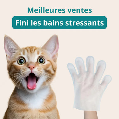 Boîte de gants nettoyants pour animaux