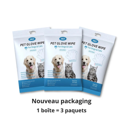 Boîte de gants nettoyants pour animaux
