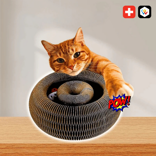 Twistou – Le jouet interactif qui capte l’attention des chats