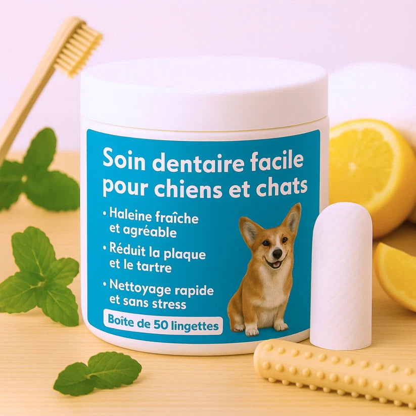 Lingettes dentaires pour animaux