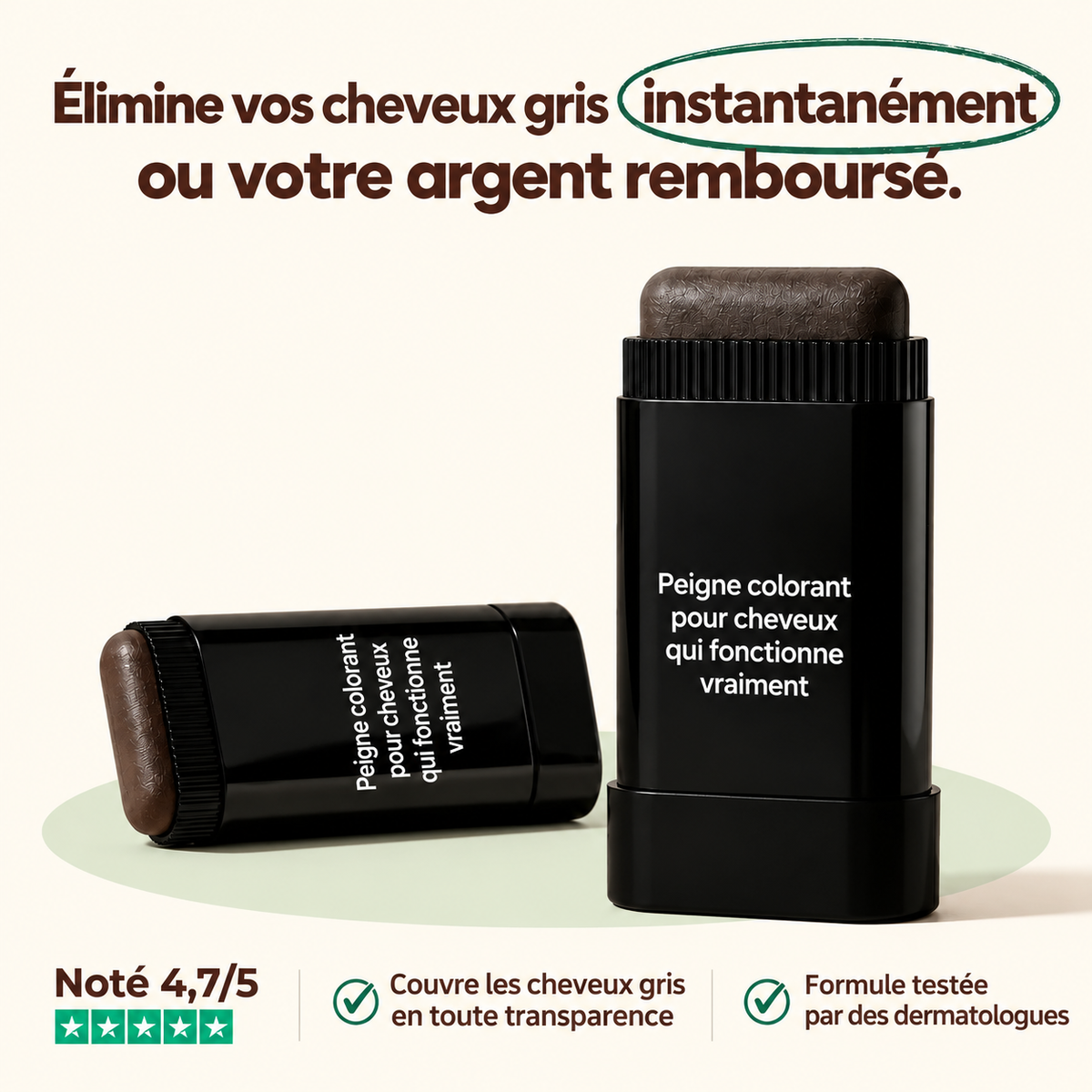 Stick couvrant cheveux gris homme