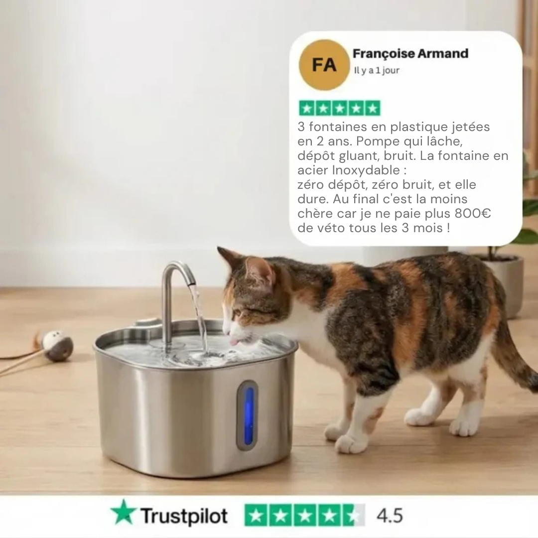 Fontaine à Eau pour Chat en Acier Inoxydable