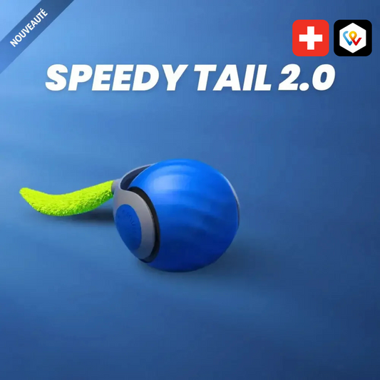 Jouet interactif pour chats - Balle Speedy 2.0