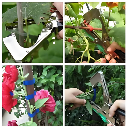 Outil Attache Plante Rapide et Précis