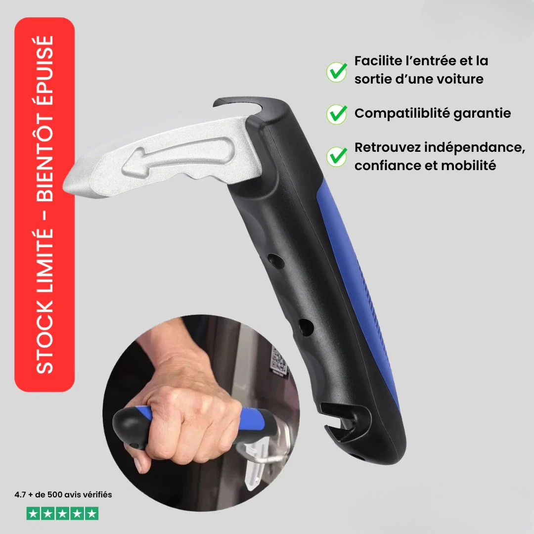 3-in-1-Autohilfegriff