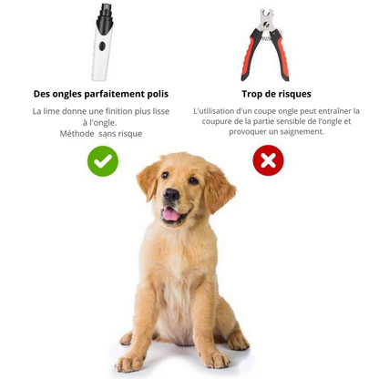 Lime à ongles électrique pour chiens - La Patte Canine®