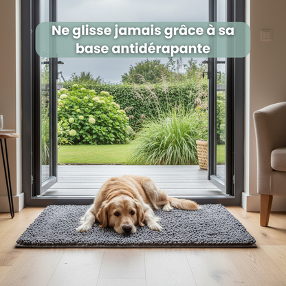 Tapis absorbant intérieur pour chien
