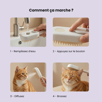 Brosse Vapeur pour Chats