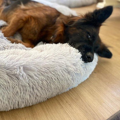 Pfoten&Nasen Das bequeme Tierbett