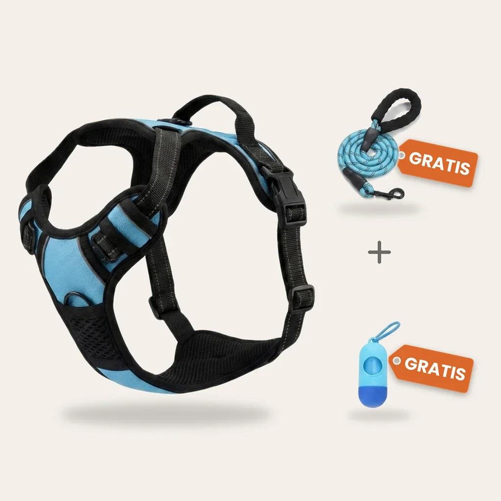 Harnais anti-traction chien