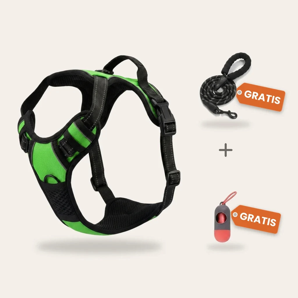 Harnais anti-traction chien