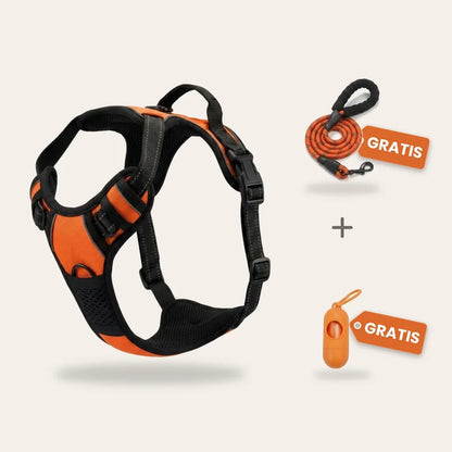 Harnais anti-traction chien