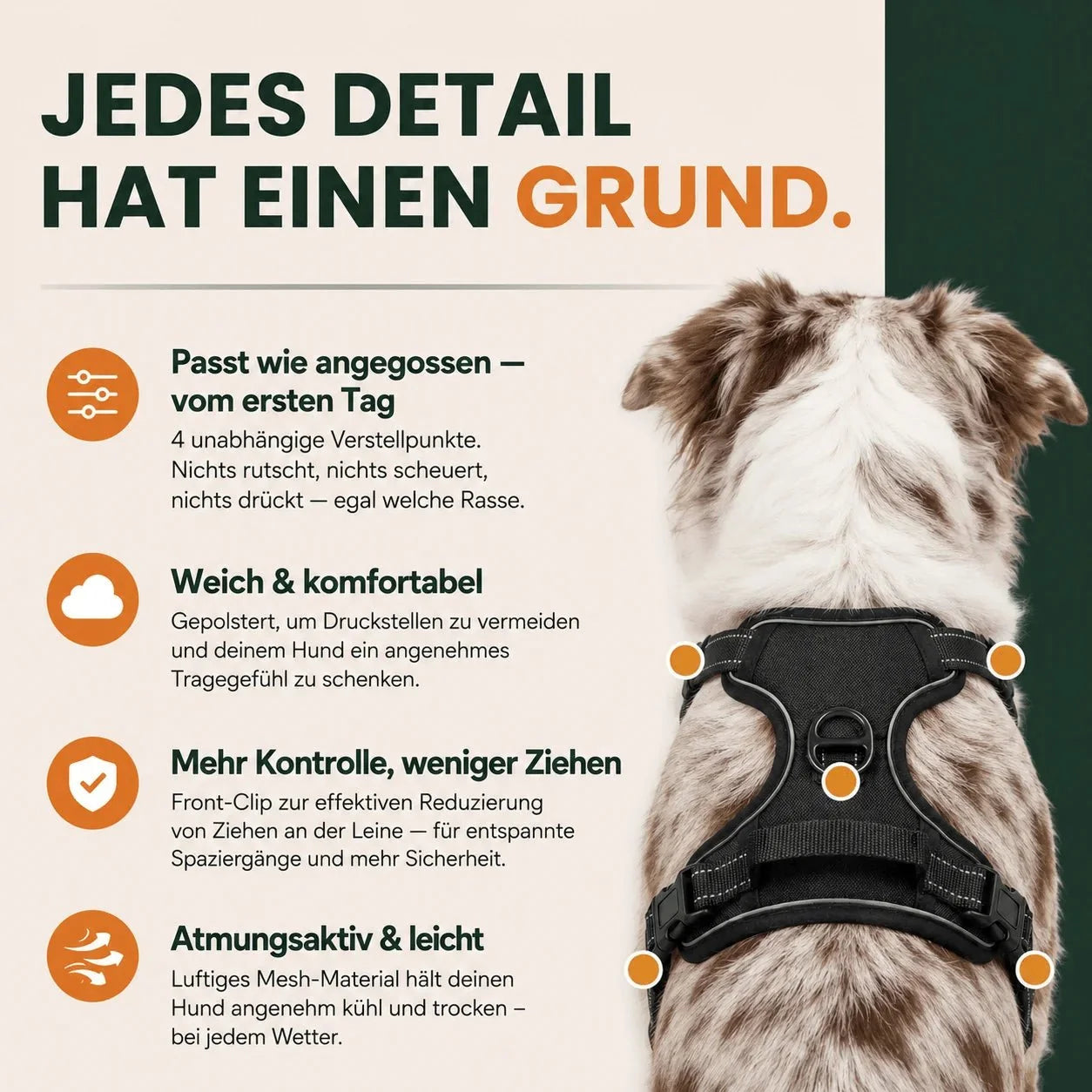 Harnais anti-traction chien