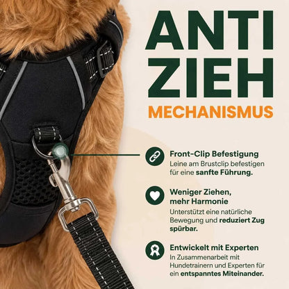 Harnais anti-traction chien