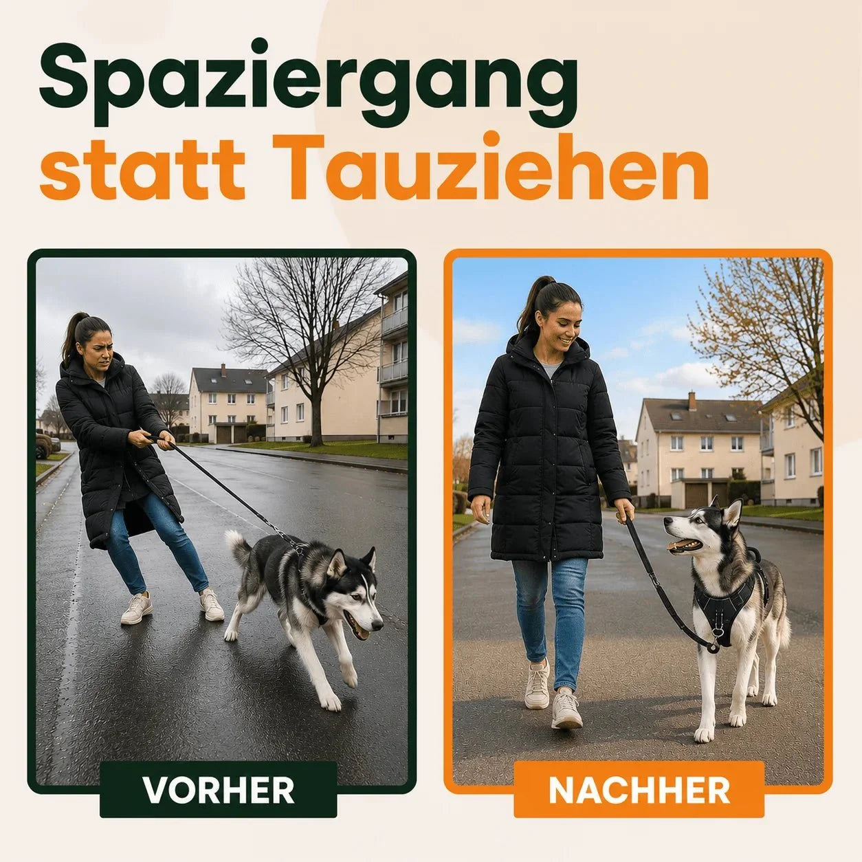 Harnais anti-traction chien