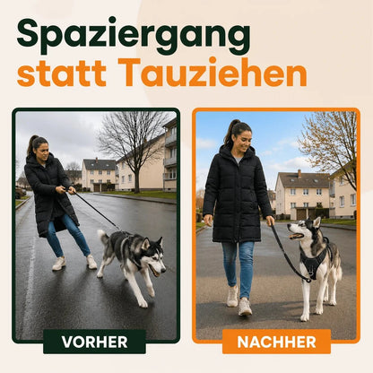 Harnais anti-traction chien