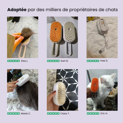 Brosse Vapeur pour Chats