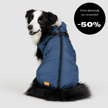 Veste d’hiver 2 en 1 pour chien