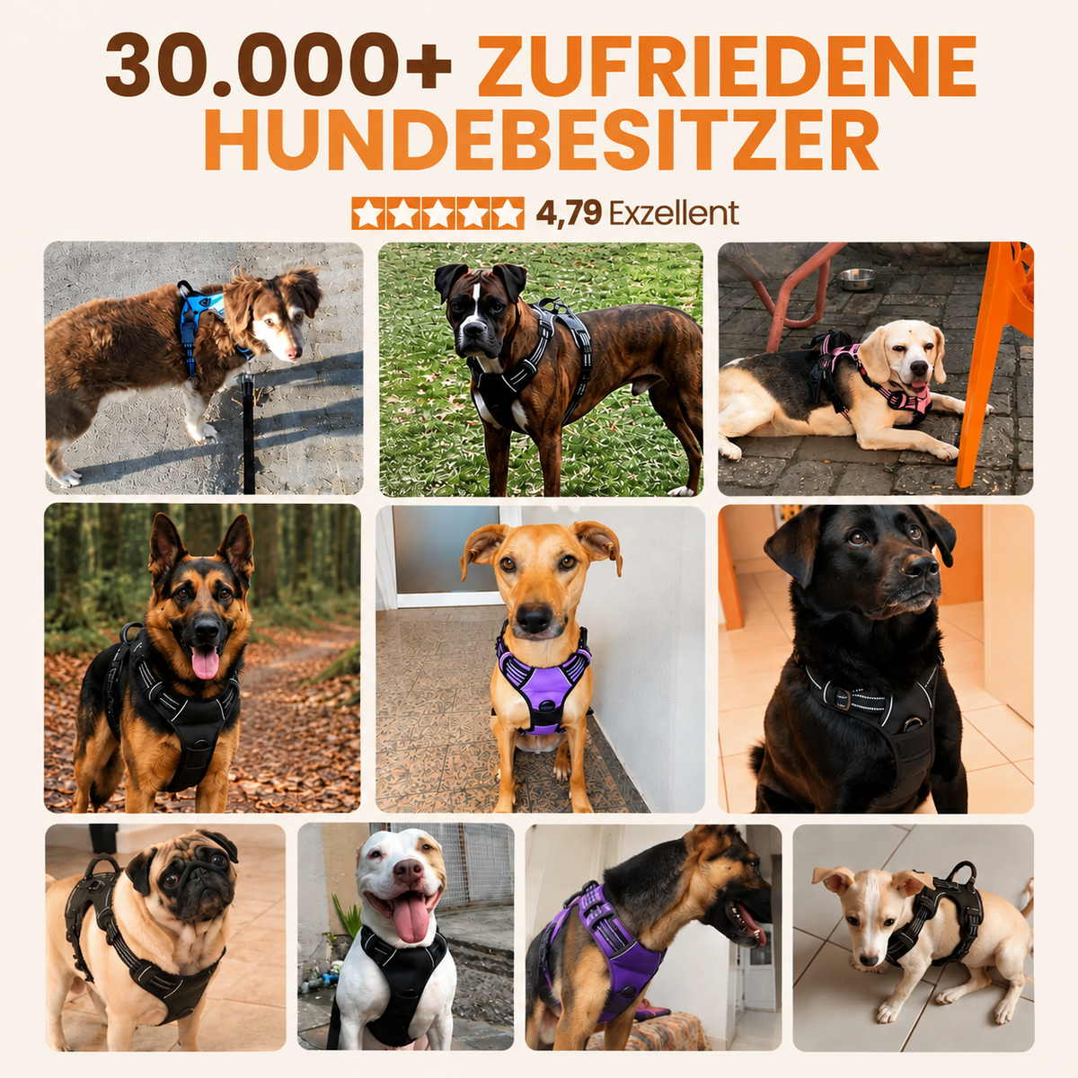Zugschutzgeschirr für Hunde