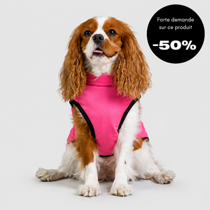 Veste d’hiver 2 en 1 pour chien