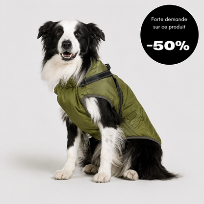 Veste d’hiver 2 en 1 pour chien
