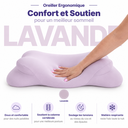 Oreiller Ergonomique à Zones de Soutien