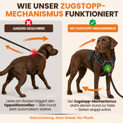 Zugschutzgeschirr für Hunde