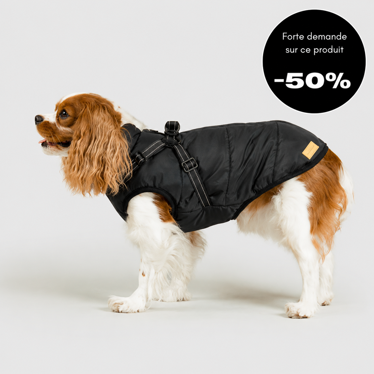 Veste d’hiver 2 en 1 pour chien