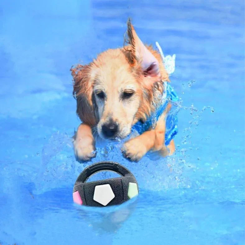 Balle anti-ennui – Pour plus de calme & de plaisir au quotidien