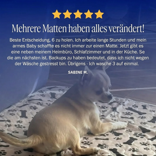 Wiederverwendbare saugfähige Matte für Hunde