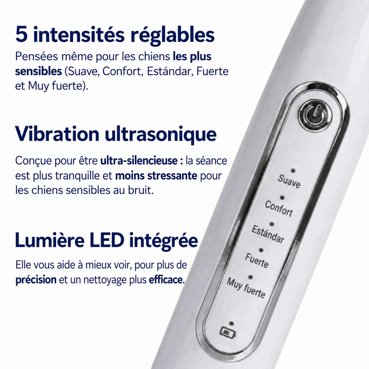 Détartreur ultrasonique pour chien
