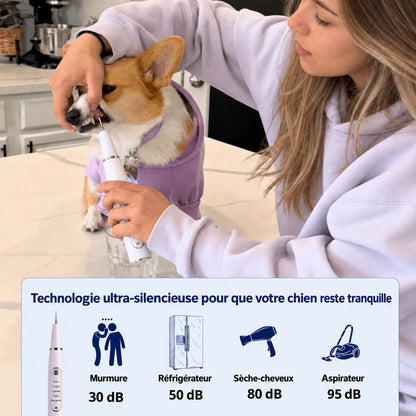 Détartreur ultrasonique pour chien