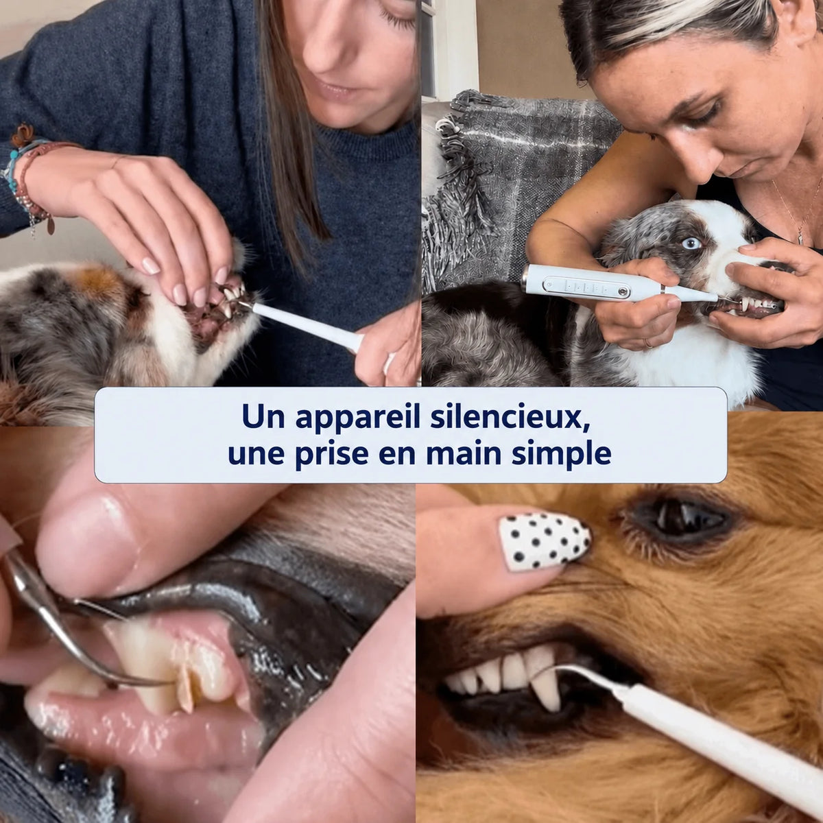 Détartreur ultrasonique pour chien