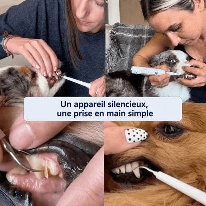 Détartreur ultrasonique pour chien