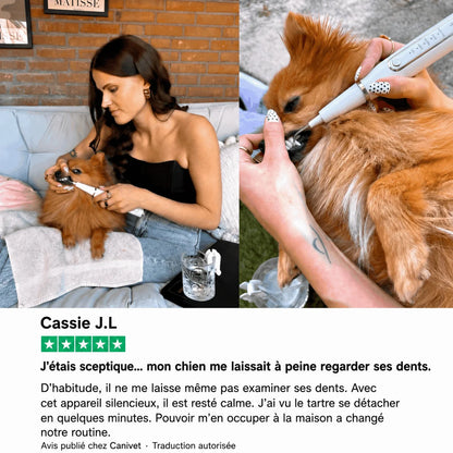Détartreur ultrasonique pour chien