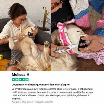 Détartreur ultrasonique pour chien