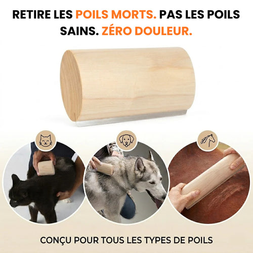 Brosse pour animaux