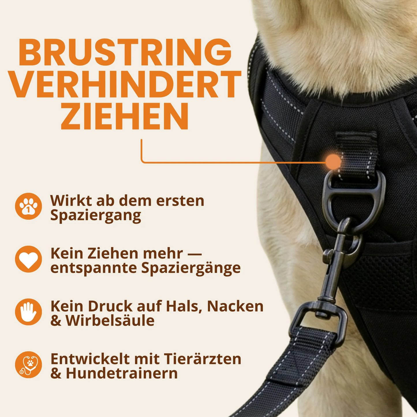 Zugschutzgeschirr für Hunde