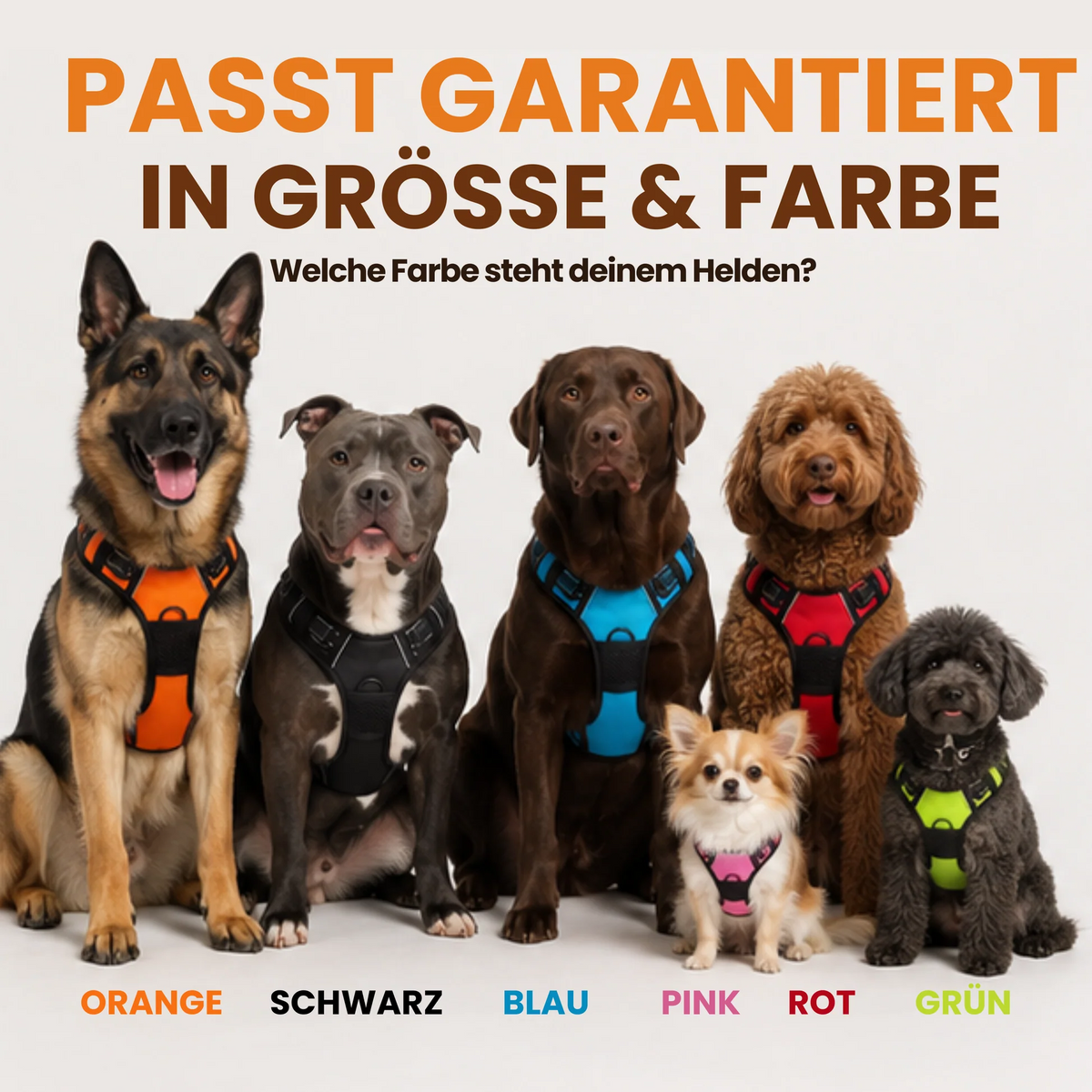 Zugschutzgeschirr für Hunde