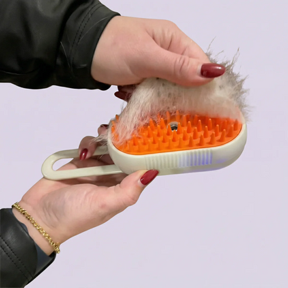 Brosse Vapeur pour Chats