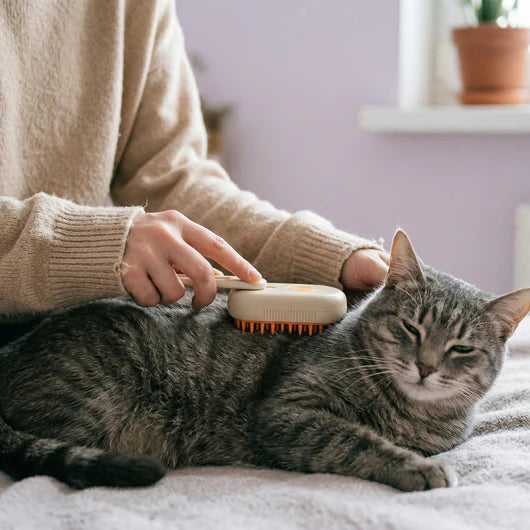 Brosse Vapeur pour Chats