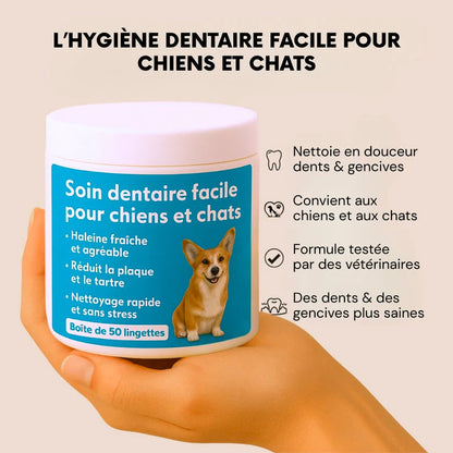 Lingettes dentaires pour animaux