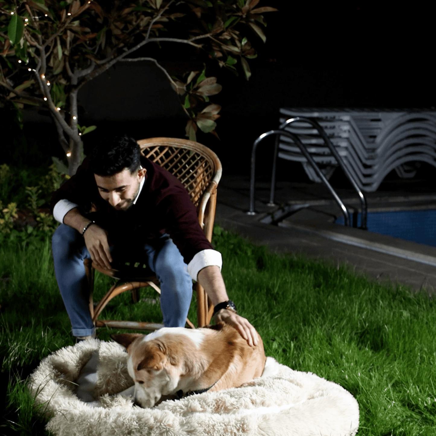 Pfoten&Nasen Das bequeme Tierbett