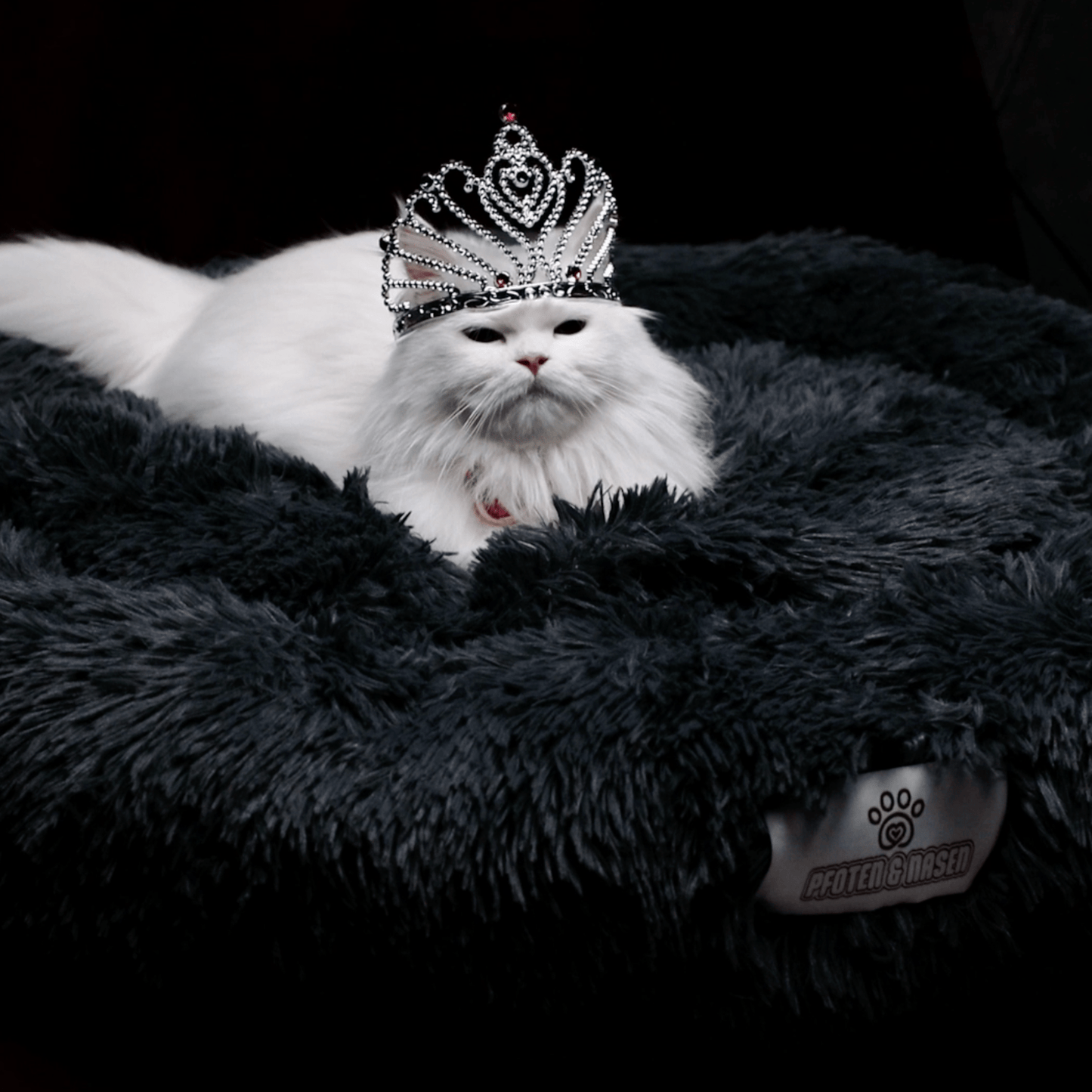 Pfoten&Nasen Das bequeme Tierbett