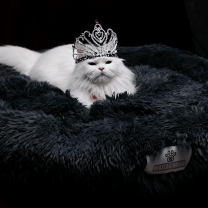 Pfoten&Nasen Das bequeme Tierbett