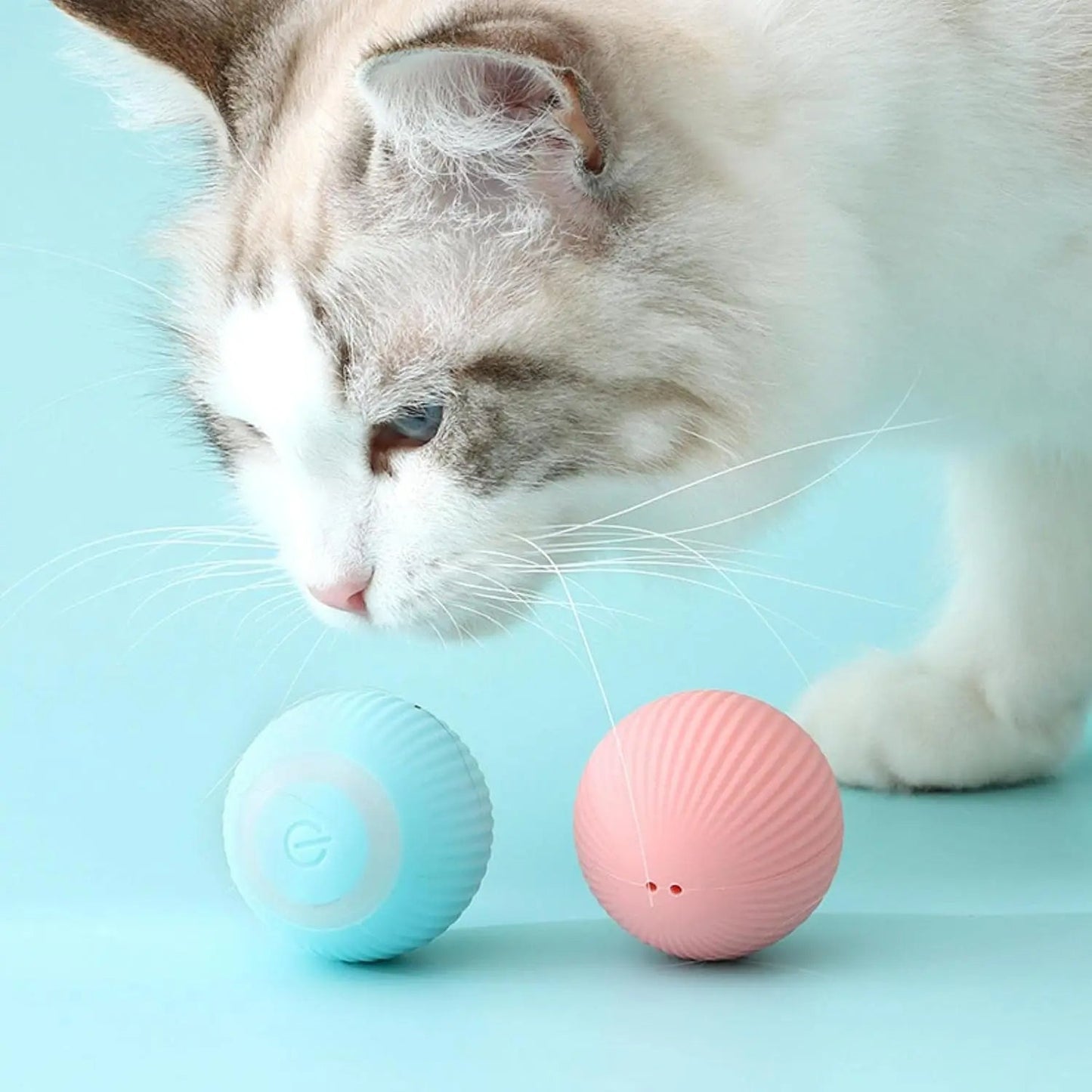 Interaktiver Katzen Spielball