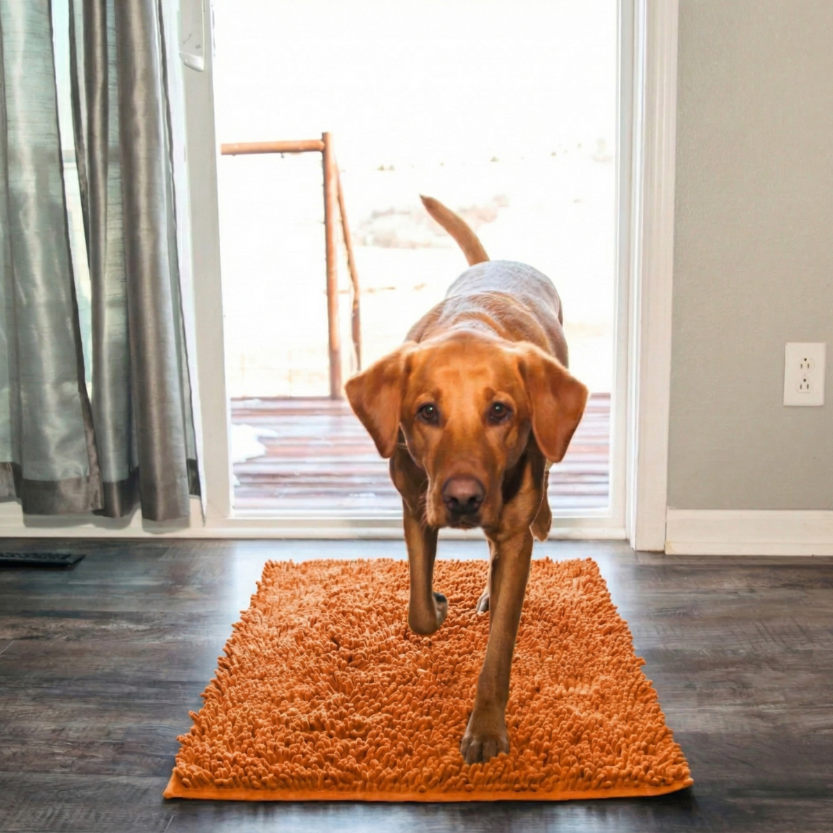 Tapis absorbant pour pattes de chien et chat