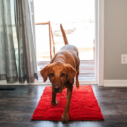 Tapis absorbant pour pattes de chien et chat