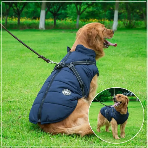 Hundemantel mit integriertem Geschirr