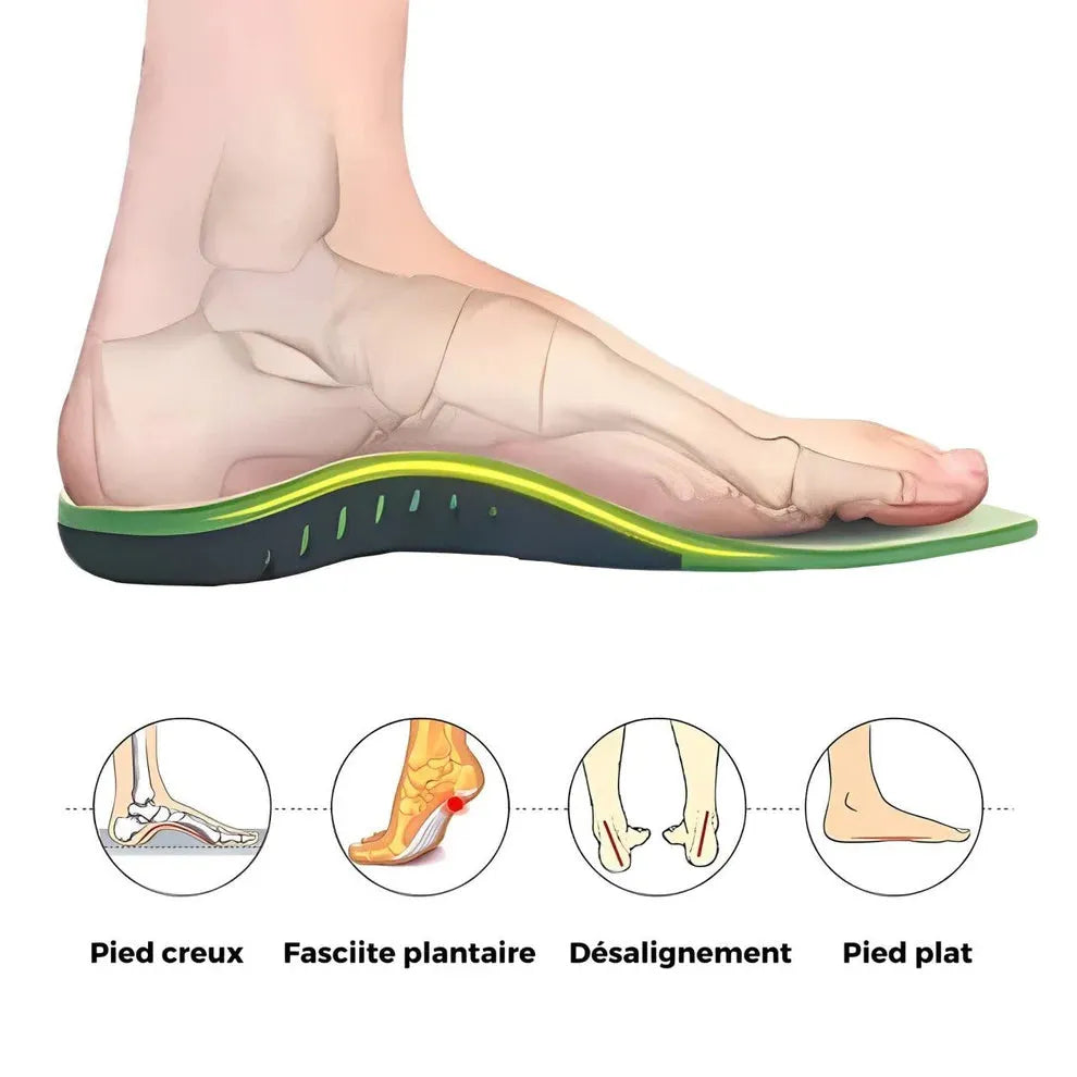 Semelles ergonomiques confortables